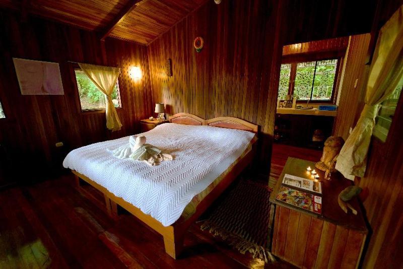 Lodge Mirador - Great Swimming Pool - Kitchen - Bbq - Netflix Тахо-Альто Экстерьер фото