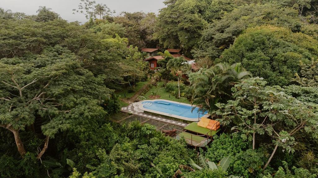 Lodge Mirador - Great Swimming Pool - Kitchen - Bbq - Netflix Тахо-Альто Экстерьер фото