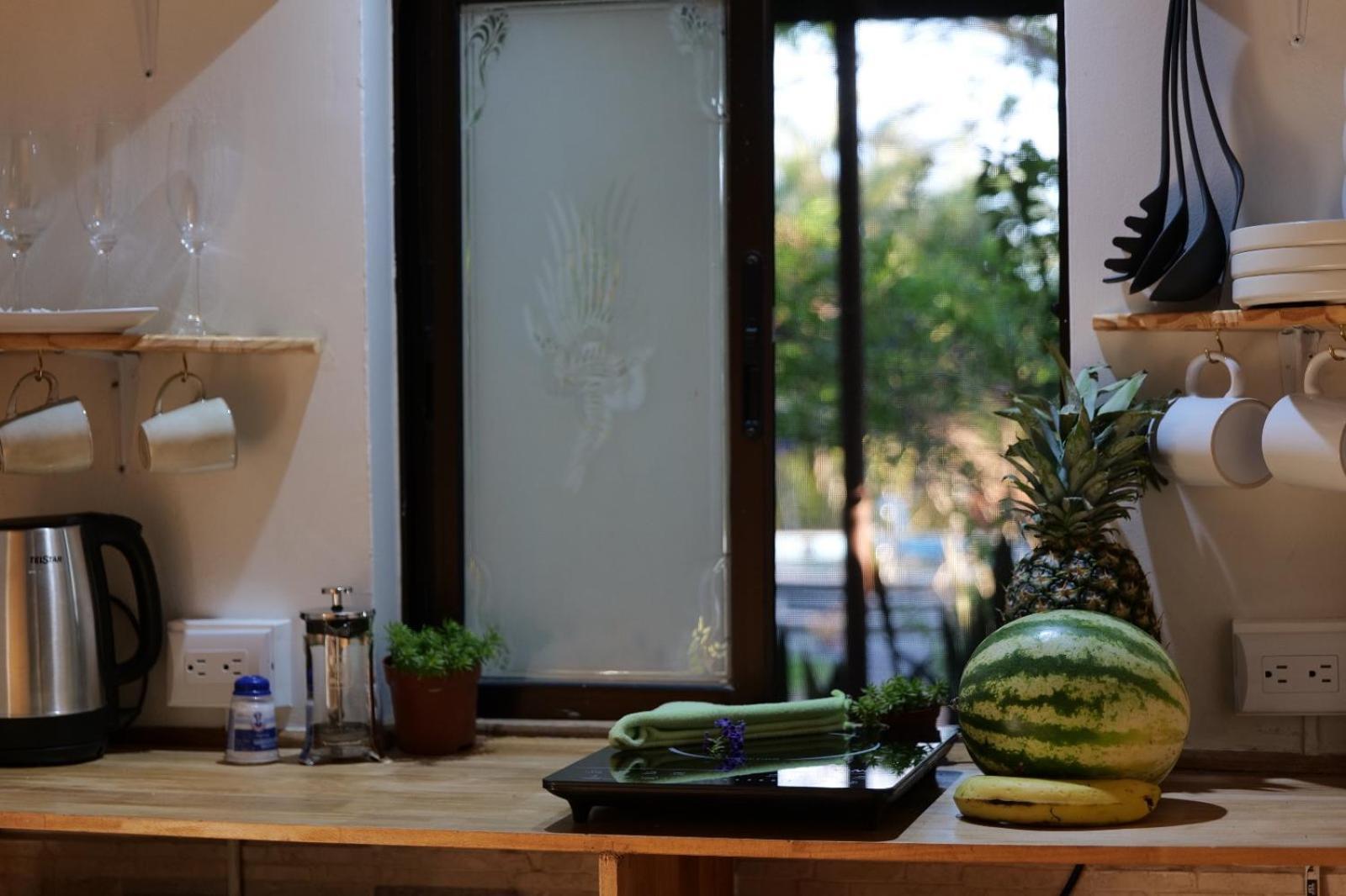 Lodge Mirador - Great Swimming Pool - Kitchen - Bbq - Netflix Тахо-Альто Экстерьер фото