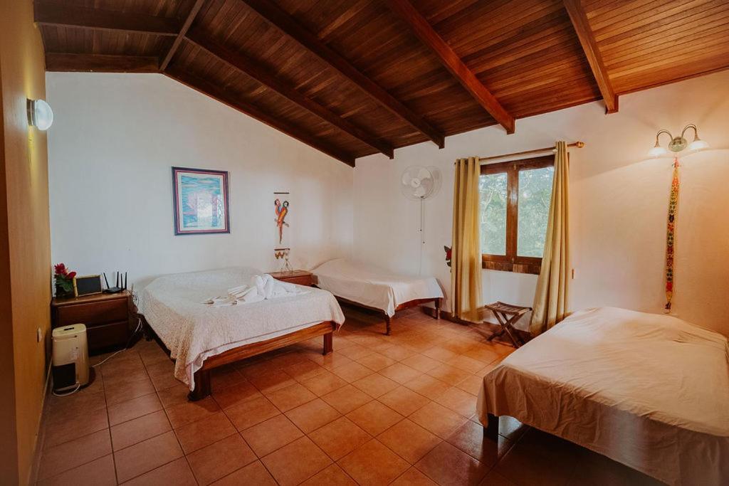 Lodge Mirador - Great Swimming Pool - Kitchen - Bbq - Netflix Тахо-Альто Экстерьер фото