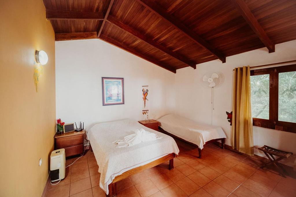 Lodge Mirador - Great Swimming Pool - Kitchen - Bbq - Netflix Тахо-Альто Экстерьер фото