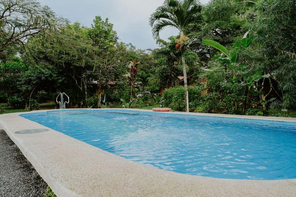 Lodge Mirador - Great Swimming Pool - Kitchen - Bbq - Netflix Тахо-Альто Экстерьер фото