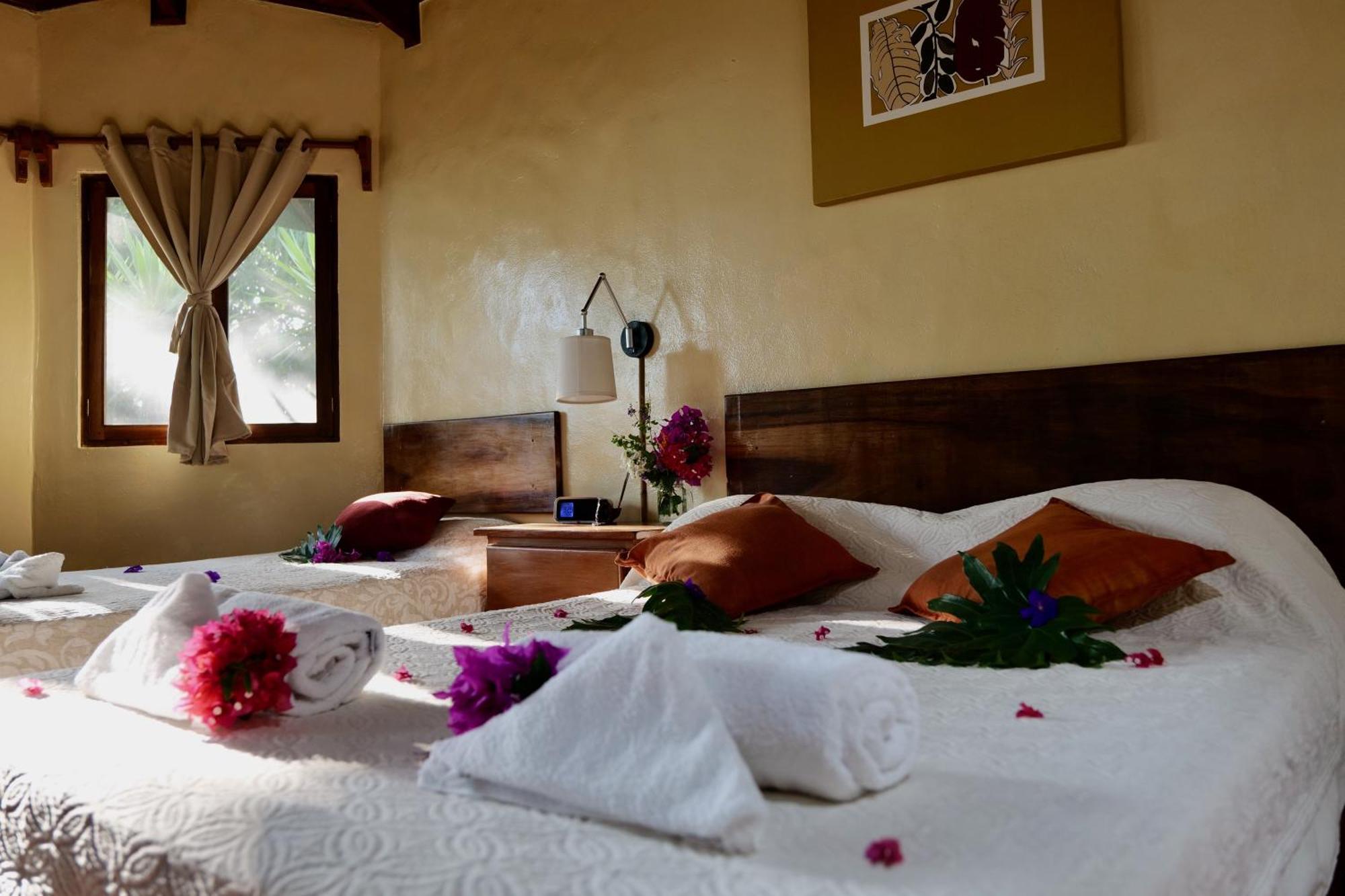 Lodge Mirador - Great Swimming Pool - Kitchen - Bbq - Netflix Тахо-Альто Экстерьер фото