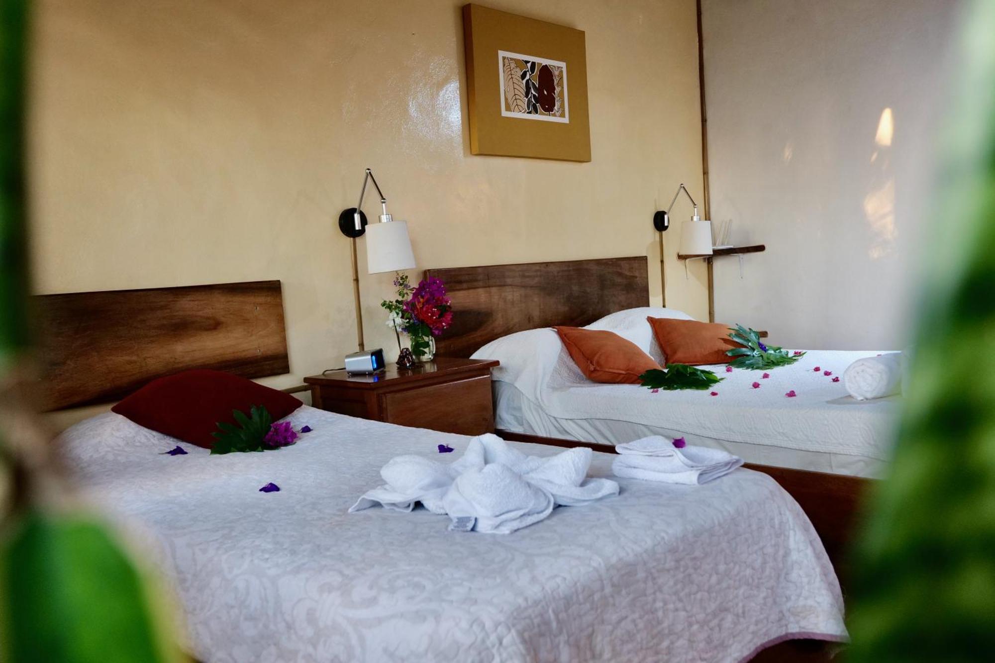 Lodge Mirador - Great Swimming Pool - Kitchen - Bbq - Netflix Тахо-Альто Экстерьер фото
